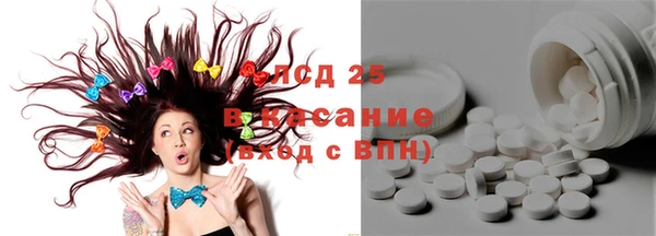 прущие грибы Армянск