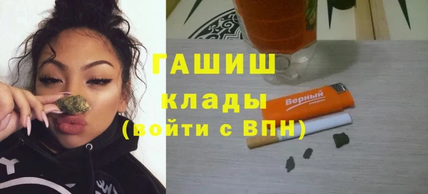 прущие грибы Армянск