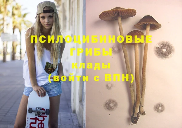 ПСИЛОЦИБИНОВЫЕ ГРИБЫ Арсеньев
