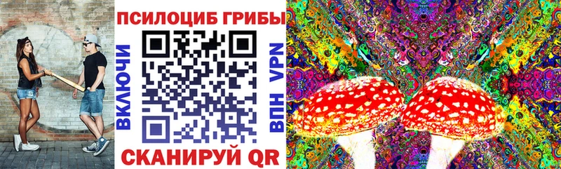 Галлюциногенные грибы мухоморы  Купить где  Ногинск 