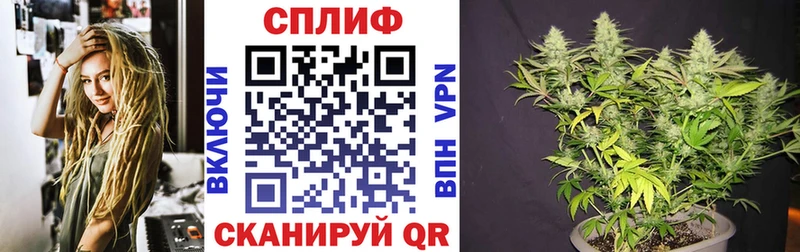 Купить  Ногинск  Шишки марихуана тримм 